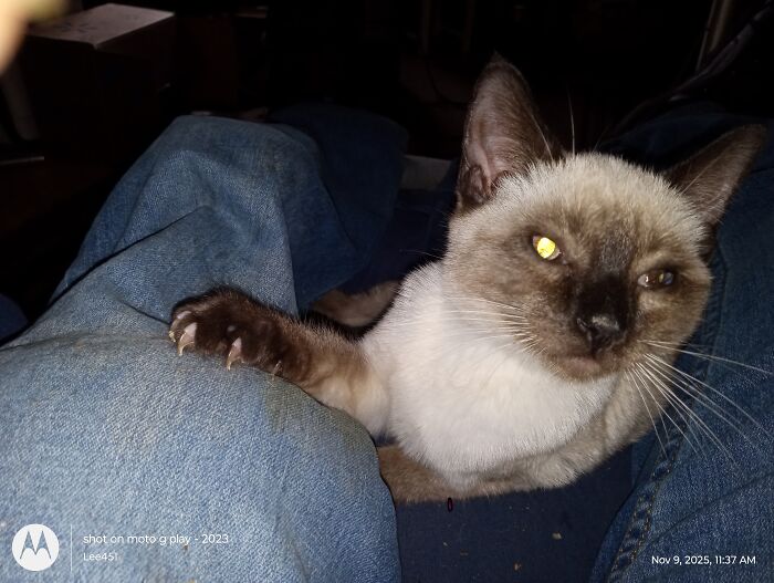 Little Willy and the Gang