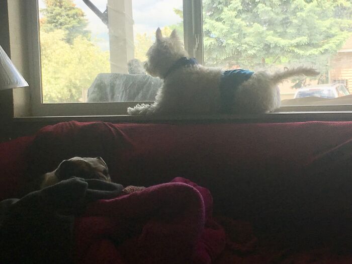 My Babies! Aka All the Tiny Joy Makers