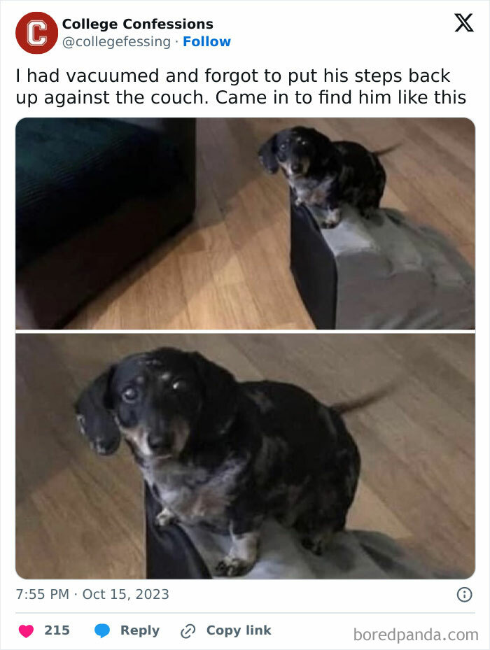 This Is What Happens When You’re Too Tired To Adult