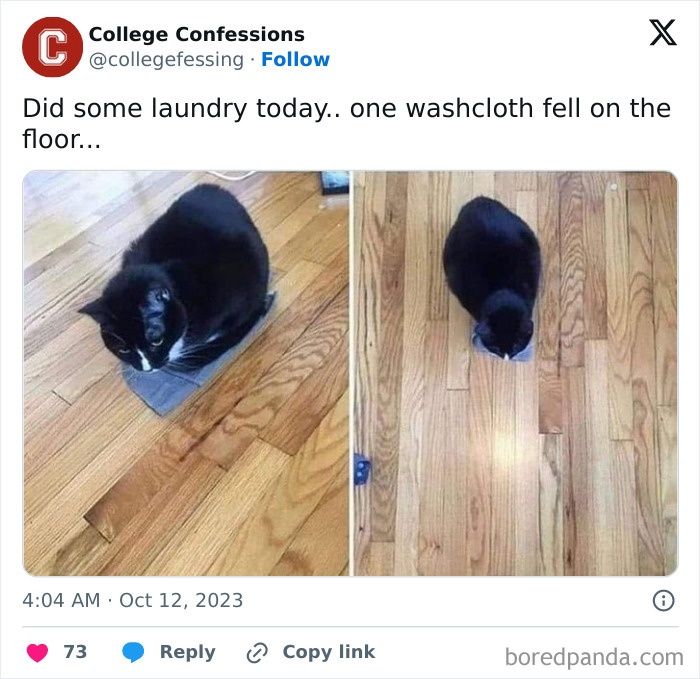 That DMV Employee Dressed As A Sloth? Pure Comedy Gold