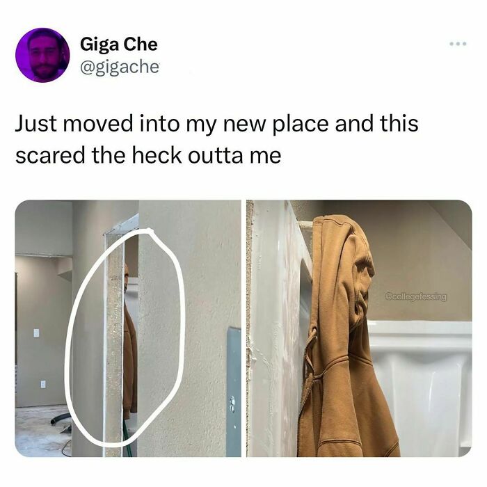 Wait, They Actually Ranked That?! Hilarious College Confessions You Can't Miss