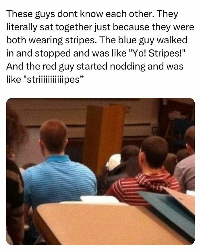 Wait, They Actually Ranked That?! Hilarious College Confessions You Can't Miss