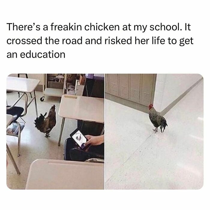 Wait, They Actually Ranked That?! Hilarious College Confessions You Can't Miss