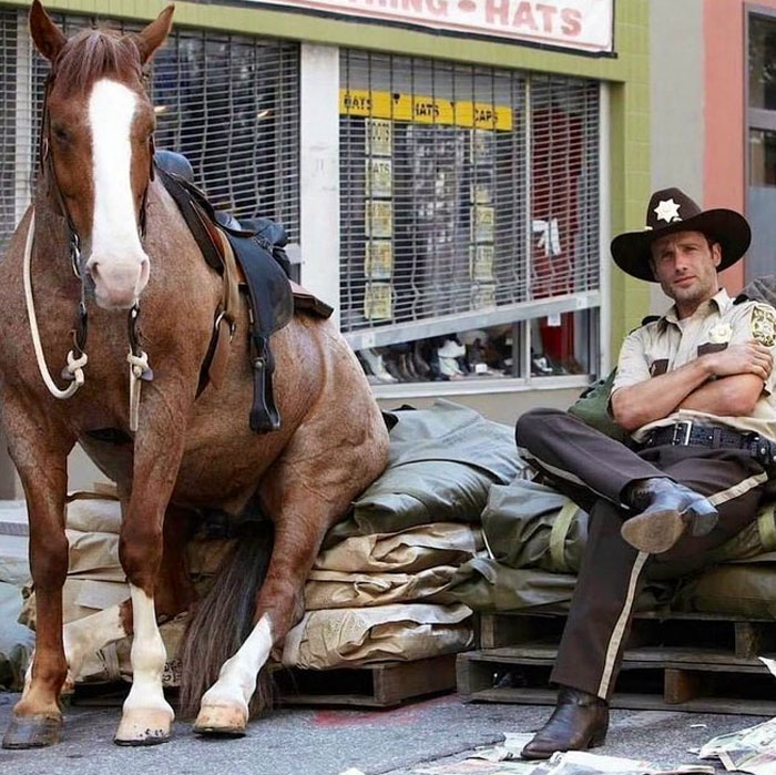 The Walking Dead (2010-)