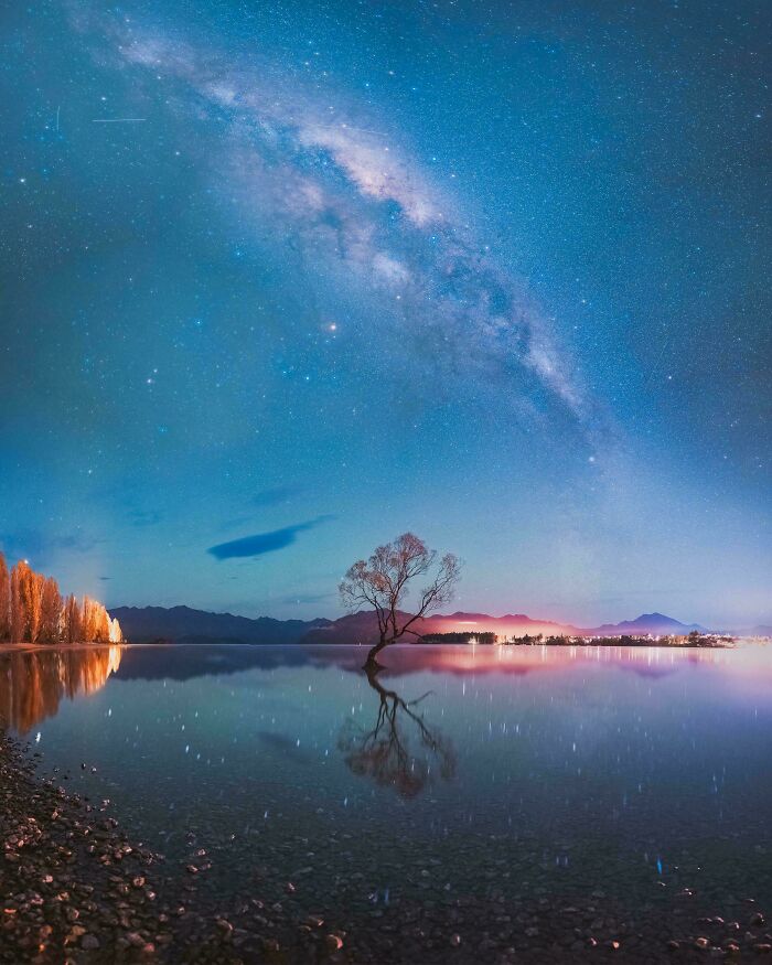 Wanaka Tree Under A Winter Sky: Lonely Tree, Big Feelings