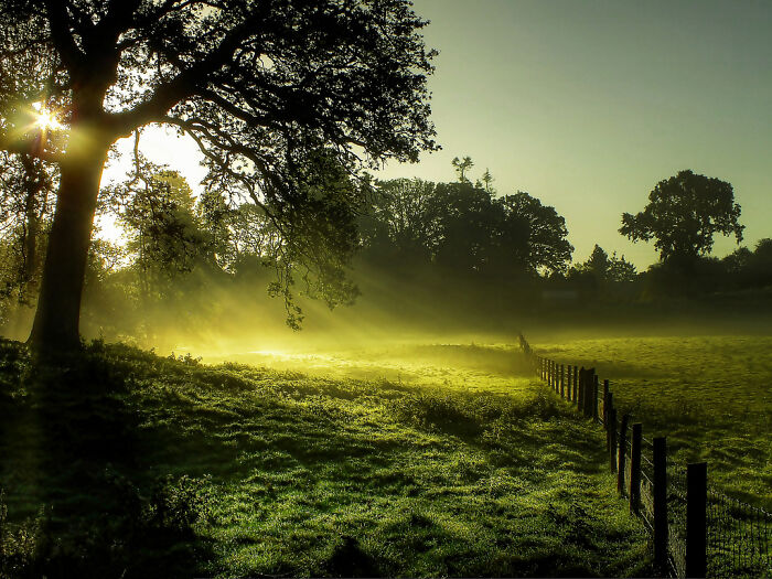 Morning In England: Cozy Sunrise Magic