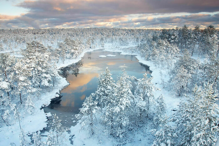 Winter In Estonia: Frosty, Fresh, And Totally Stunning
