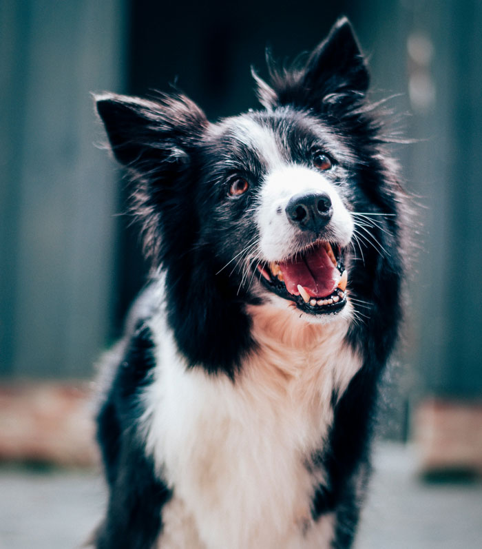 The Wildest Lies People Pulled Off and Lived to Tell the Tale