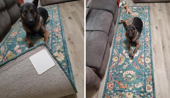 Tired of Rugs Doing Their Own Dance? These Rug Gripper Pads Keep Them Put!