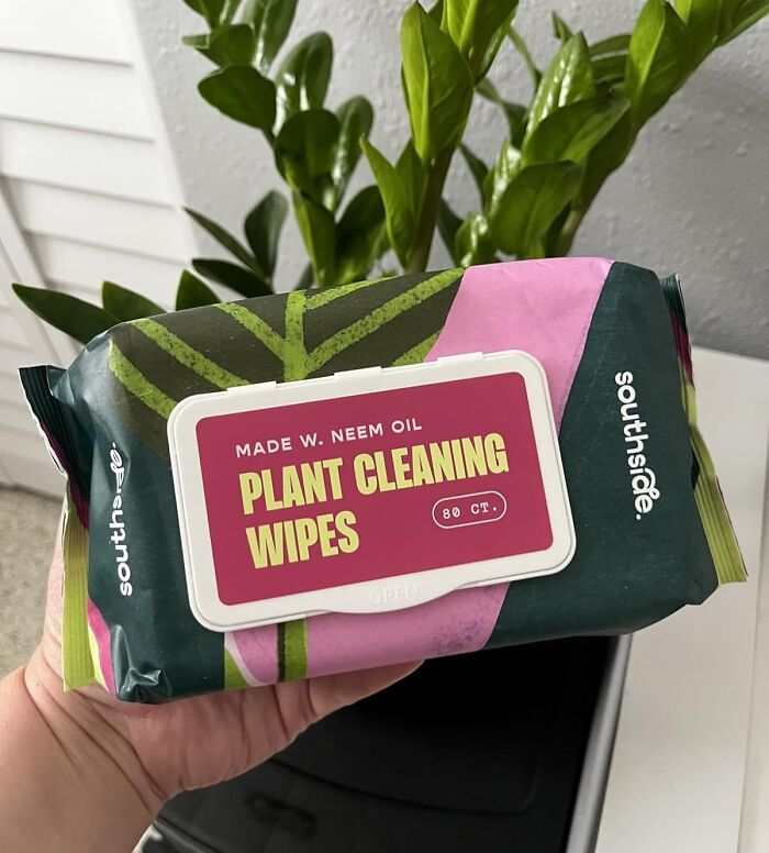 Fancy Your Plants a Spa Day? These Plant Cleaning Wipes Have You Covered