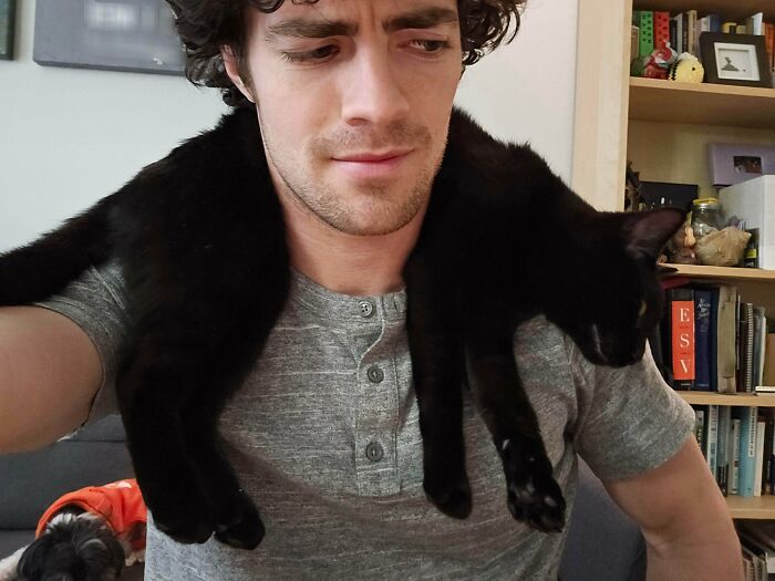 When Your Cat Goes Limp, Just Wear Him As A Scarf