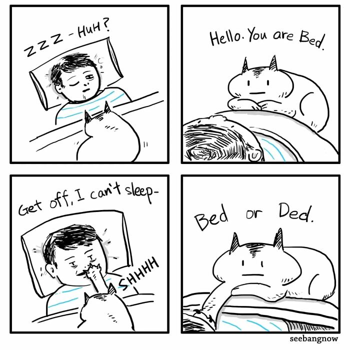 29 Sassy Cat Comics That Will Totally Crack You Up