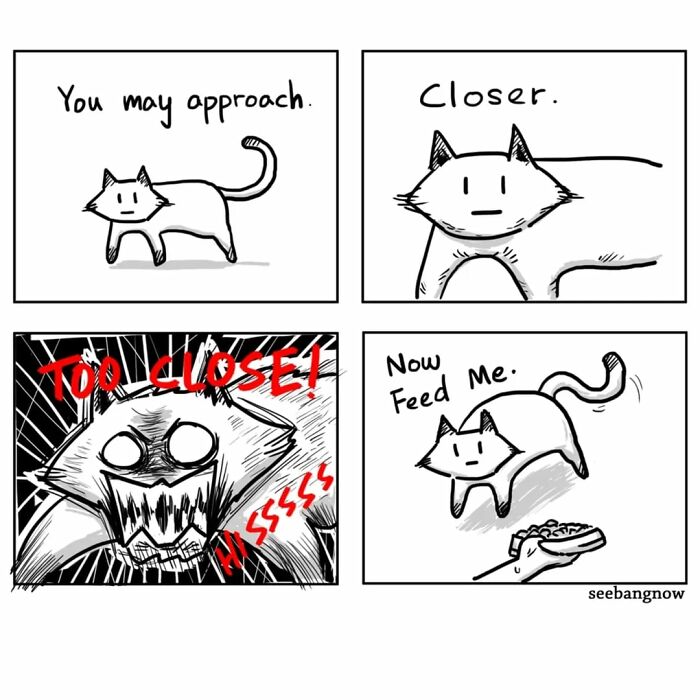 29 Sassy Cat Comics That Will Totally Crack You Up