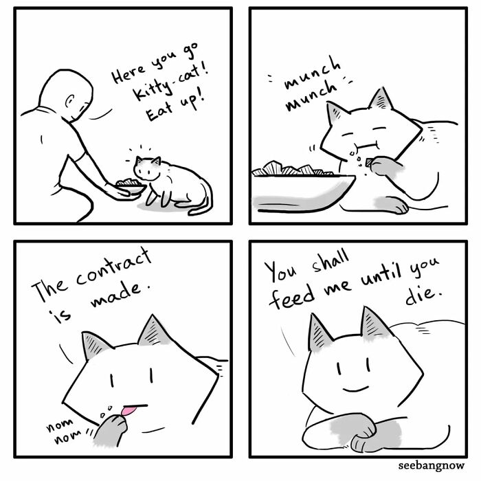 29 Sassy Cat Comics That Will Totally Crack You Up