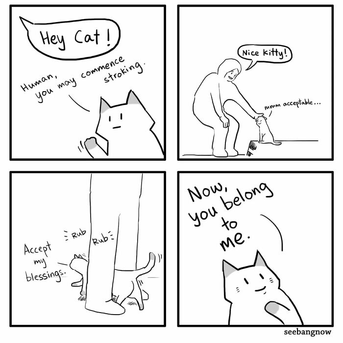 29 Sassy Cat Comics That Will Totally Crack You Up