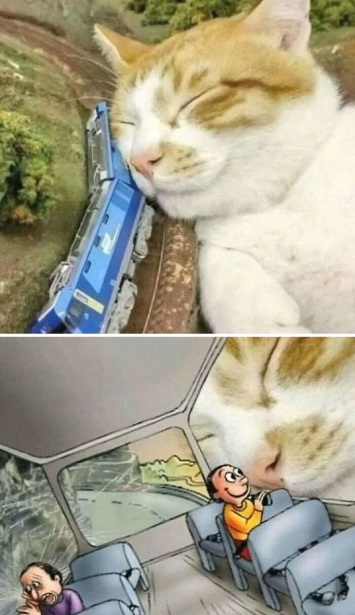 Hold Up! The Wildest Pics That Are Totally Extra (And We Love It)