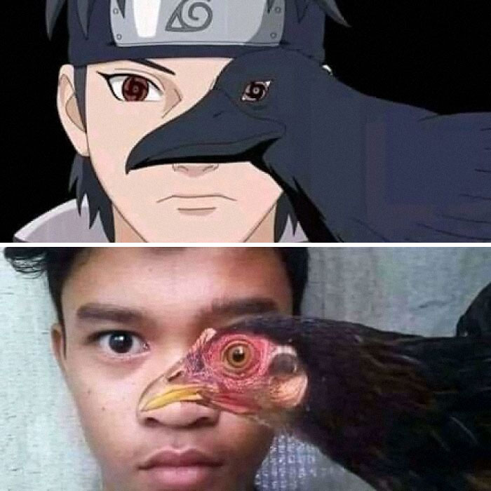 Hold Up! The Wildest Pics That Are Totally Extra (And We Love It)