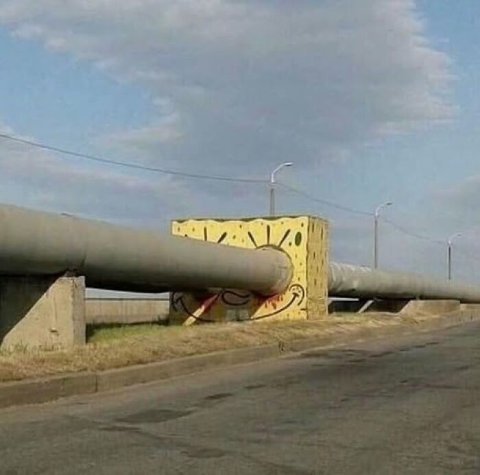 Hold Up! The Wildest Pics That Are Totally Extra (And We Love It)