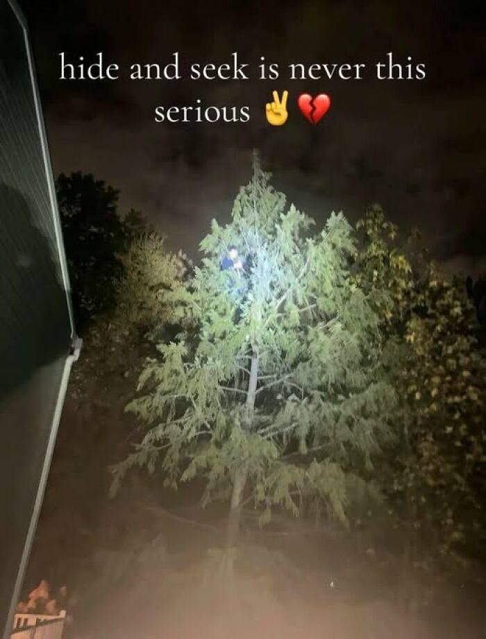 Hold Up! The Wildest Pics That Are Totally Extra (And We Love It)