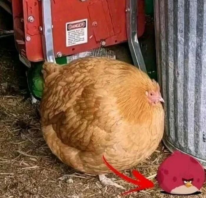 Hold Up! The Wildest Pics That Are Totally Extra (And We Love It)