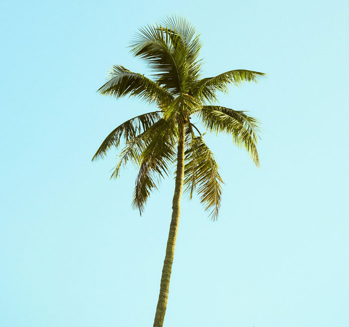 Wait, People Actually Made Rules Like This? The Wildest HOA Madness Ever