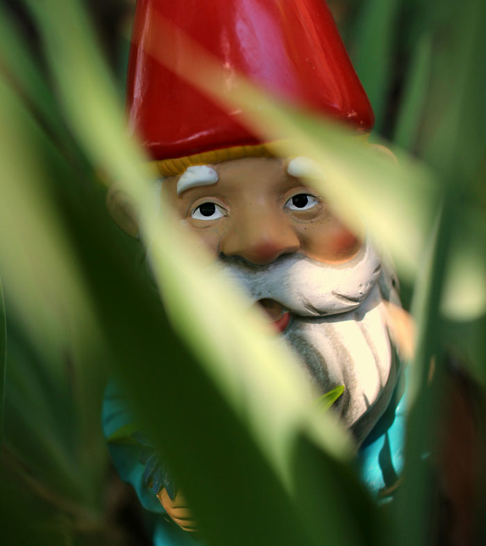 Wait, People Actually Made Rules Like This? The Wildest HOA Madness Ever