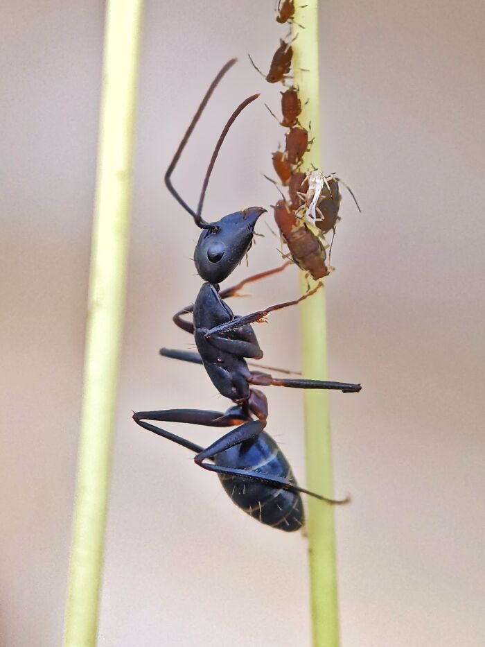 Check Out These 12 Spiders That Are Surprisingly Cool (Yes, Really)