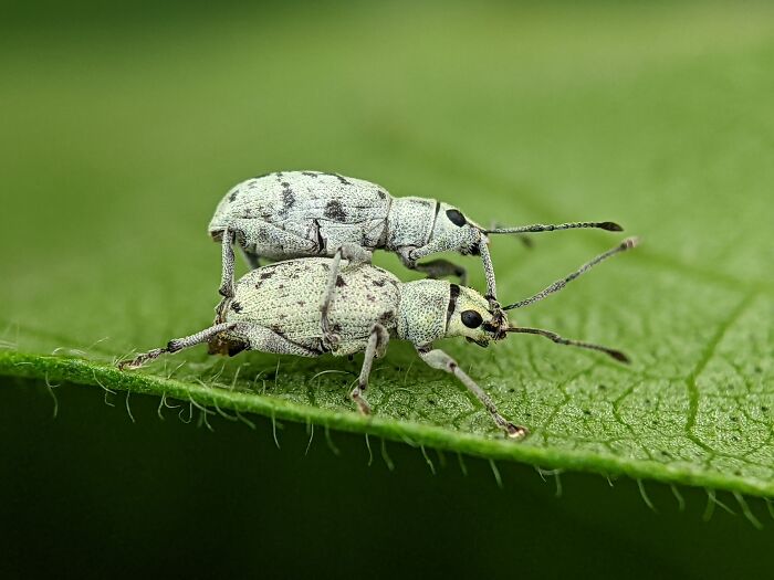 Check Out These 12 Spiders That Are Surprisingly Cool (Yes, Really)