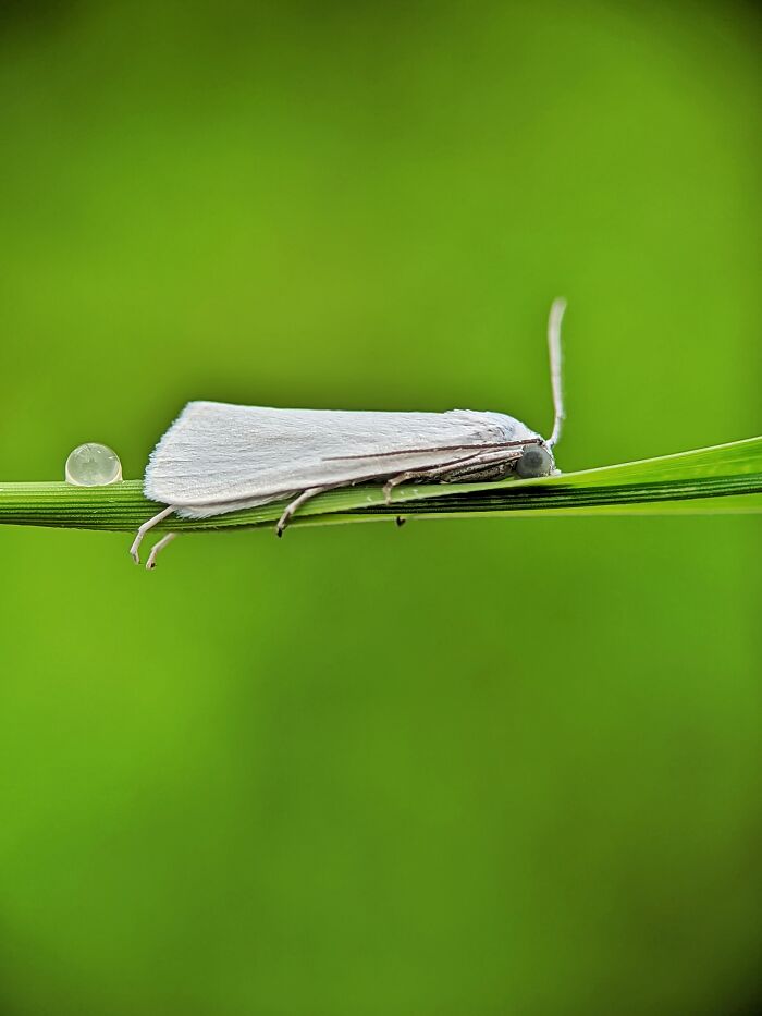 Check Out These 12 Spiders That Are Surprisingly Cool (Yes, Really)