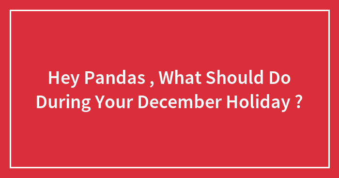 Decide Your December Fun: What Should You Actually Do?