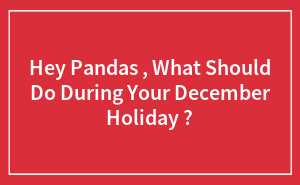 Decide Your December Fun: What Should You Actually Do?
