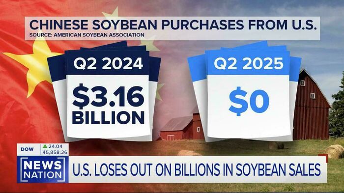Trying to Sell Soybeans to China (Nailed It or Failed It?)