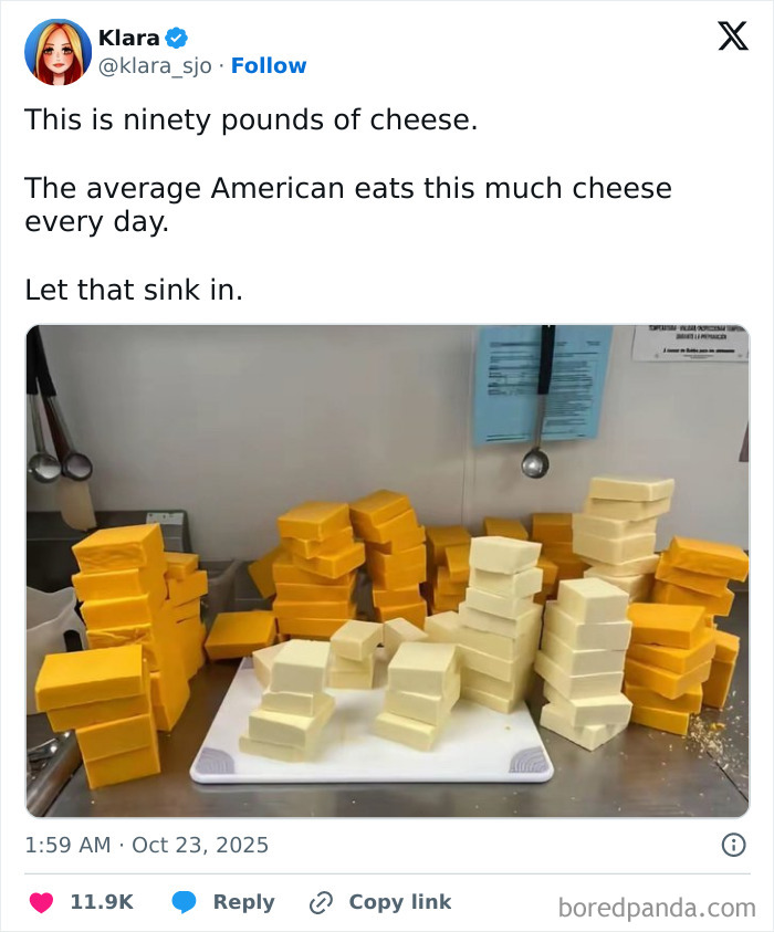 Attempting to Eat 90 Pounds of Cheese (Brave but Bad Idea)