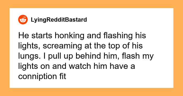 Instant Karma Moments Caught by Cops That’ll Totally Make Your Day