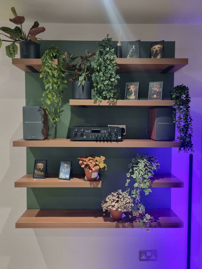 Just Some Shelves But Super Proud of How They Turned Out