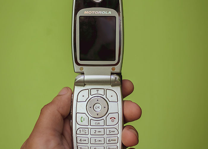 The Wildest Stuff People Dug Up While Fixing Old Homes