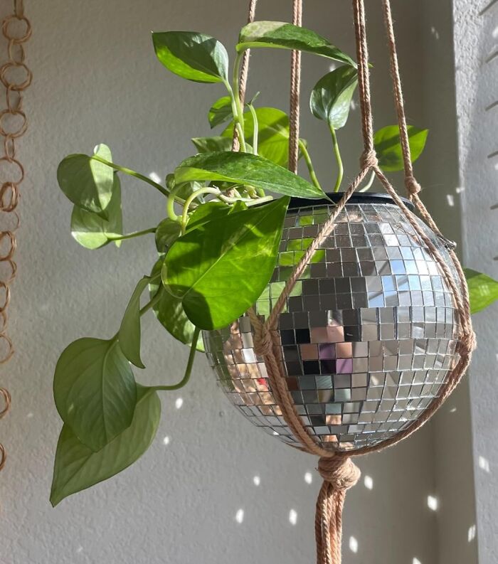 Turn Their Favorite Plant Into A Party Animal With This Disco Ball Planter