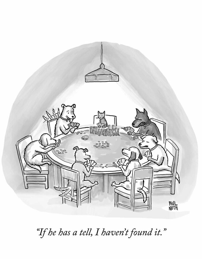 Wait, These One-Panel Cartoons Are Actually Hilarious! Meet Paul Noth