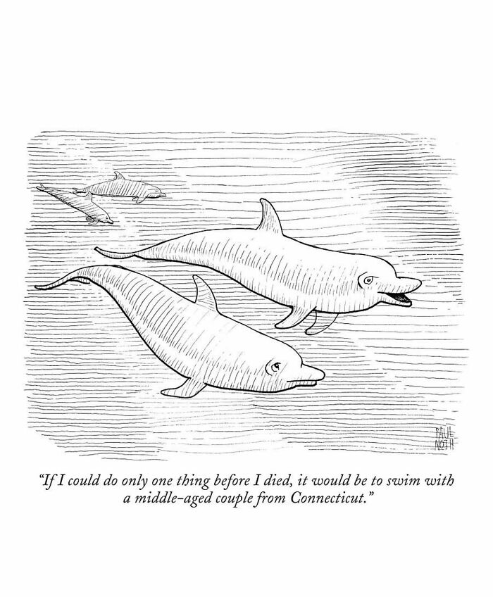 Wait, These One-Panel Cartoons Are Actually Hilarious! Meet Paul Noth