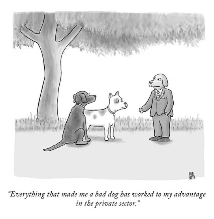 Wait, These One-Panel Cartoons Are Actually Hilarious! Meet Paul Noth