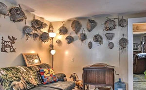 Wait, People Actually Tried To Sell These Wacky Houses?!