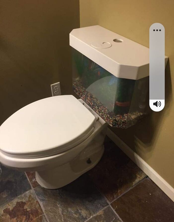 Aquarium Toilet Tank? For Real?