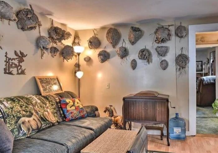 Yes, Those Are Beehives On The Wall.