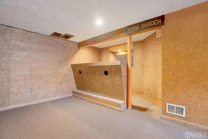 Wait, What Is Going On In This Basement?