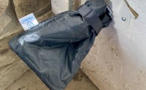 17 Garden Tasks That’ll Make Your Yard Super Happy This Fall