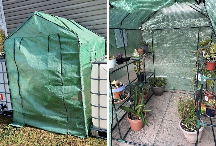 Pretend Winter Doesn’t Exist With This Handy Outdoor Greenhouse