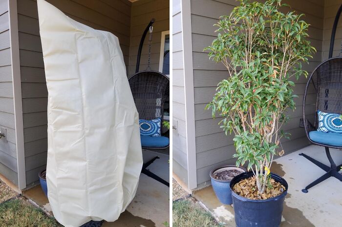 Wrap Up Your Shrubs Before Frost Bites With These Easy-Zip Frost Blankets