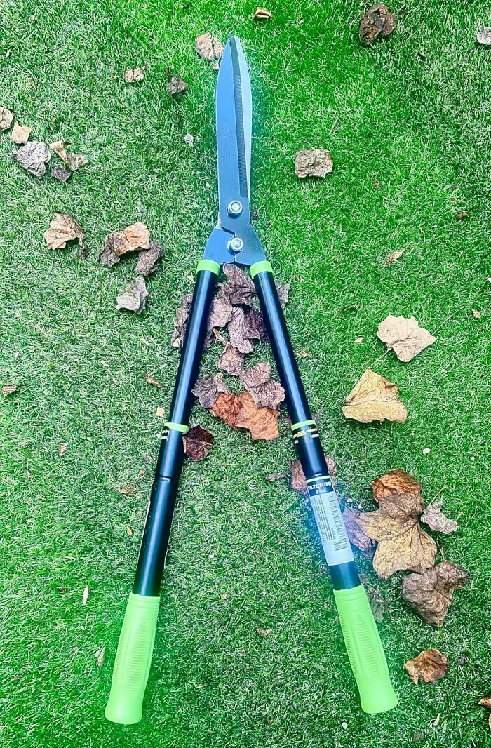 Reach the High Spots Like a Pro with These Telescopic Hedge Shears