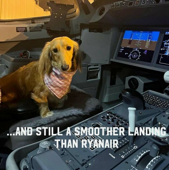 These Aviation Memes Will Totally Crack You Up (No Pilot License Needed)
