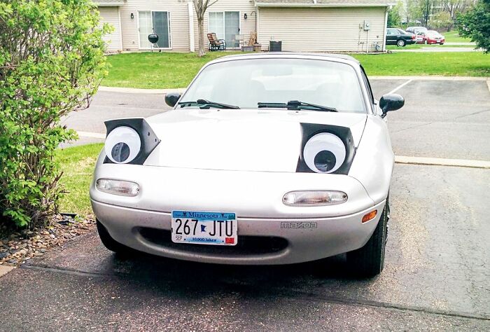 Nothing Beats A Surprise Set Of Giant Googly Eyes Showing Up Exactly Where They Shouldn’t Be